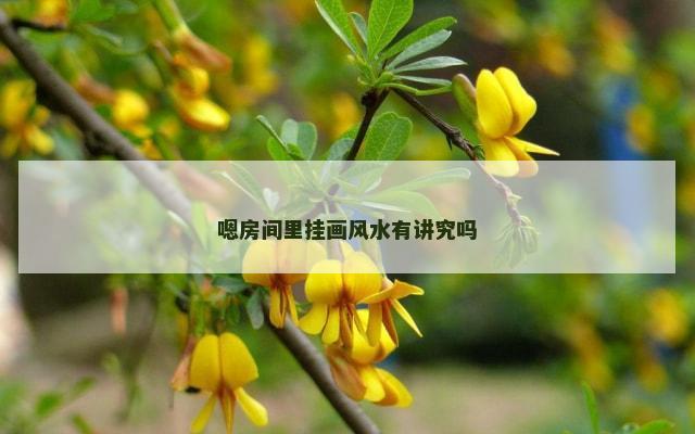 嗯房间里挂画风水有讲究吗
