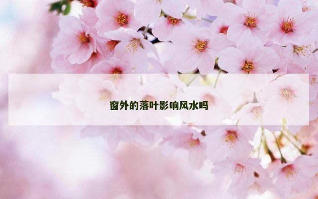 窗外的落叶影响风水吗