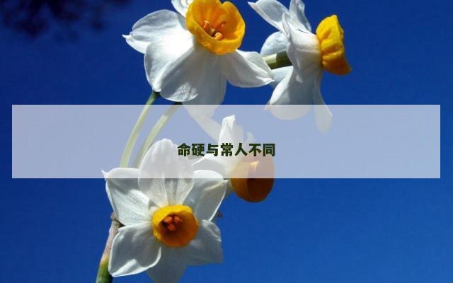 命硬与常人不同