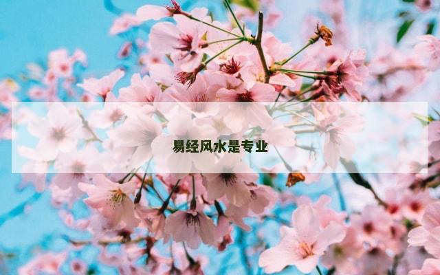 易经风水是专业