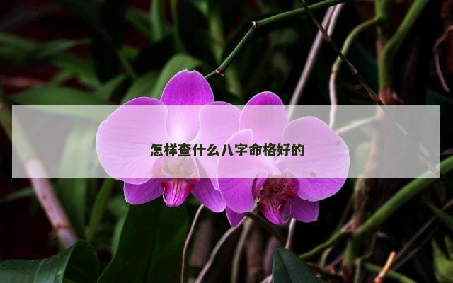怎样查什么八字命格好的