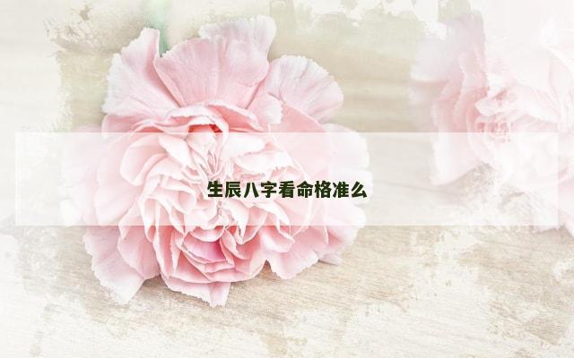 生辰八字看命格准么