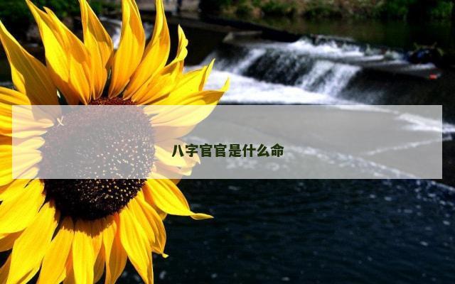 八字官官是什么命
