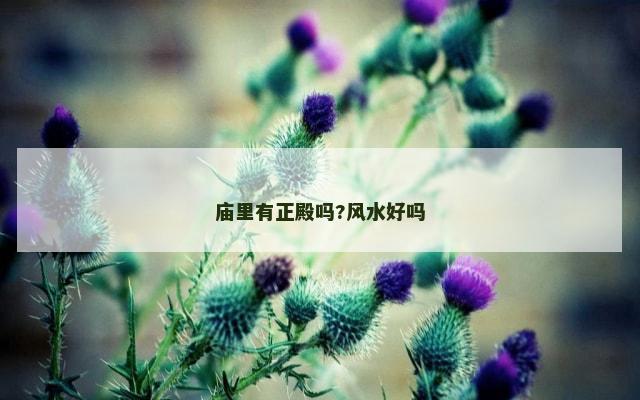 庙里有正殿吗?风水好吗