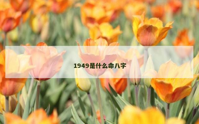 1949是什么命八字