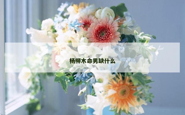 杨柳木命男缺什么