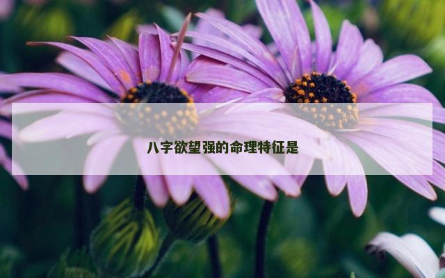 八字欲望强的命理特征是