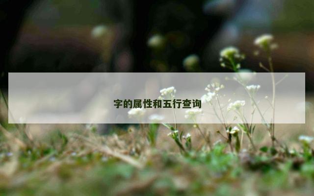 字的属性和五行查询