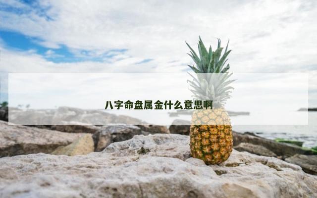 八字命盘属金什么意思啊