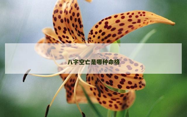 八字空亡是哪种命格