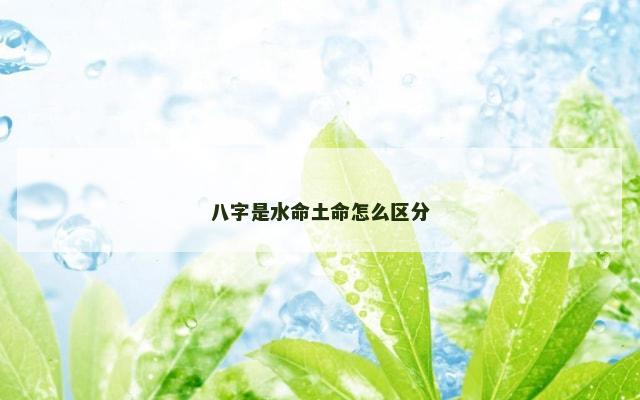 八字是水命土命怎么区分