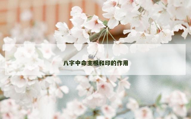八字中命主根和印的作用