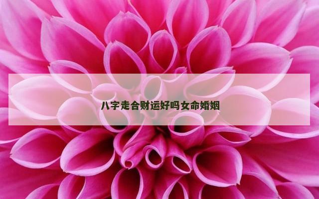 八字走合财运好吗女命婚姻