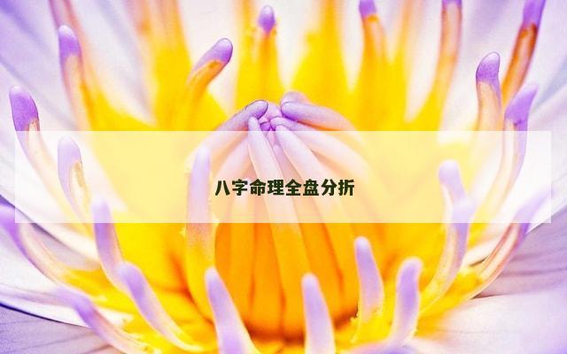 八字命理全盘分折