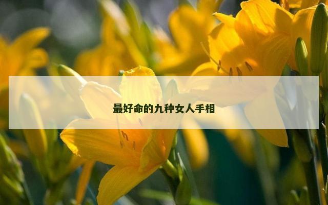 最好命的九种女人手相