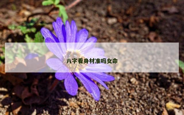八字看身材准吗女命