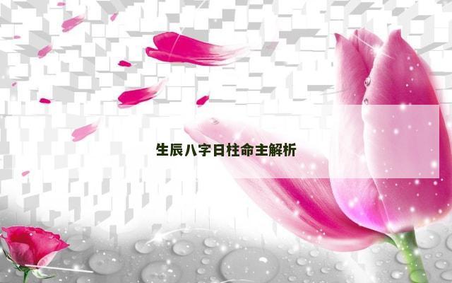生辰八字日柱命主解析
