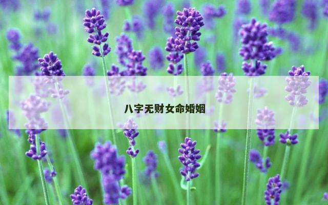 八字无财女命婚姻