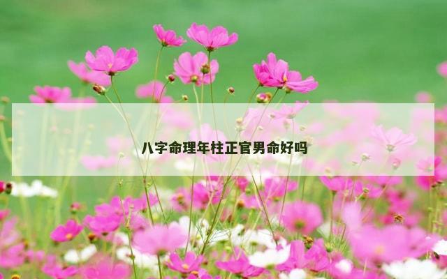 八字命理年柱正官男命好吗