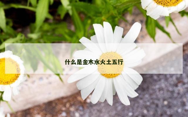 什么是金木水火土五行