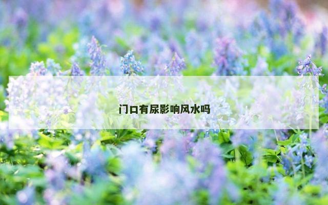 门口有尿影响风水吗