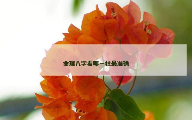 命理八字看哪一柱最准确