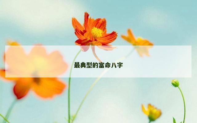 最典型的富命八字
