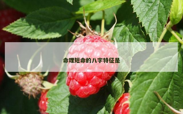 命理短命的八字特征是