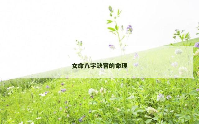 女命八字缺官的命理