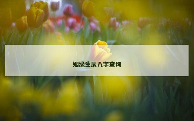 姻缘生辰八字查询