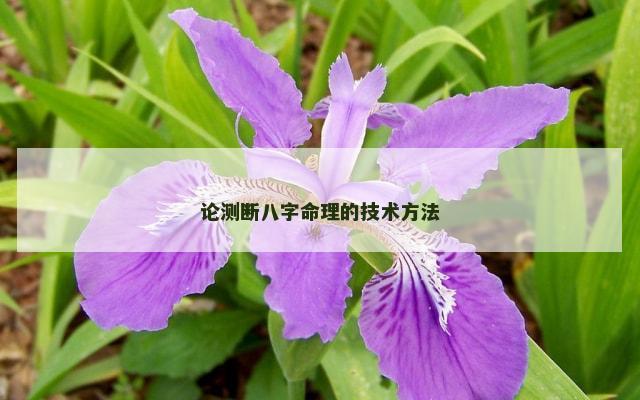 论测断八字命理的技术方法