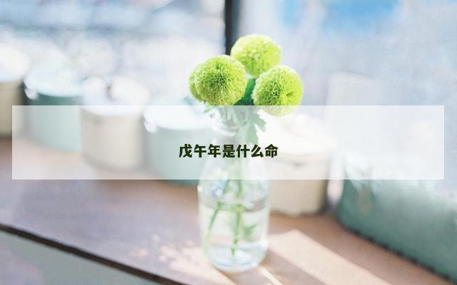 戊午年是什么命