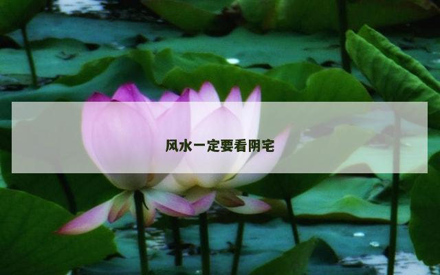 风水一定要看阴宅
