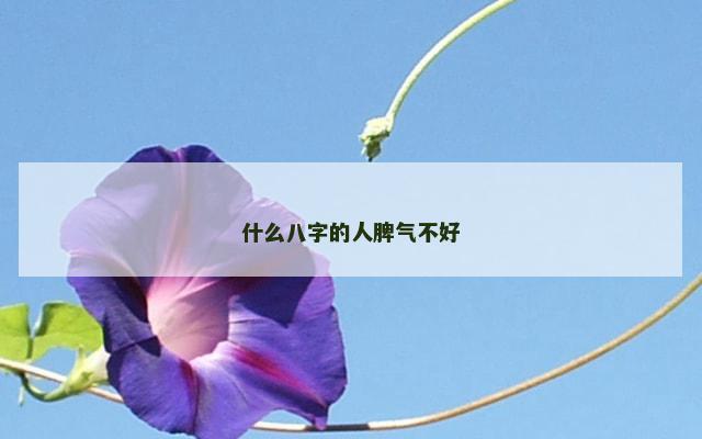 什么八字的人脾气不好