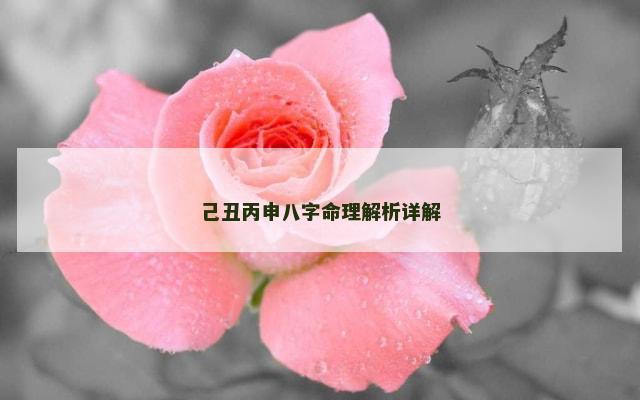己丑丙申八字命理解析详解