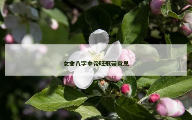 女命八字中帝旺冠带意思