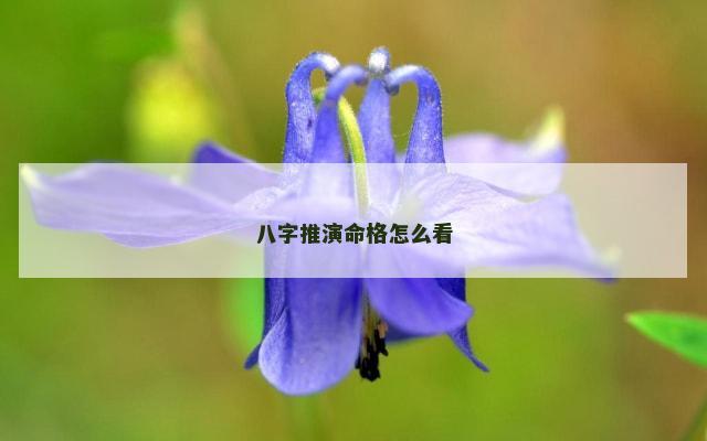 八字推演命格怎么看
