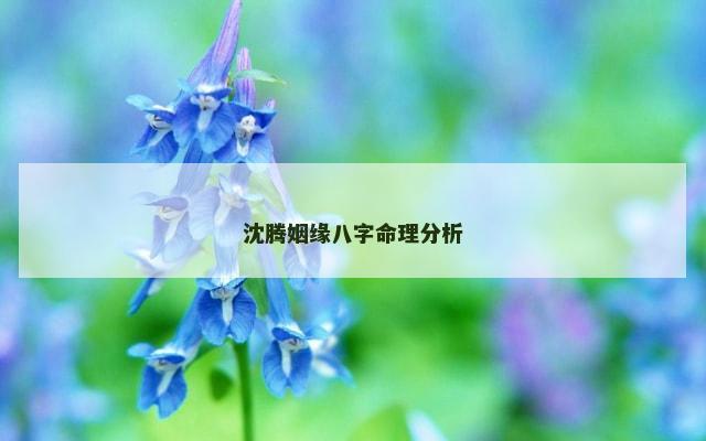 沈腾姻缘八字命理分析