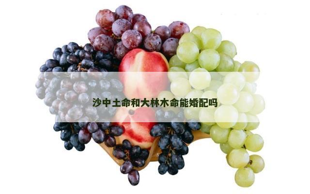沙中土命和大林木命能婚配吗