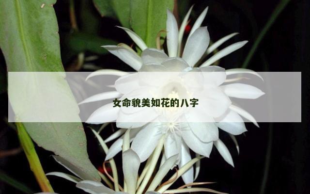 女命貌美如花的八字