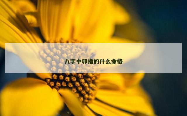 八字中卯指的什么命格
