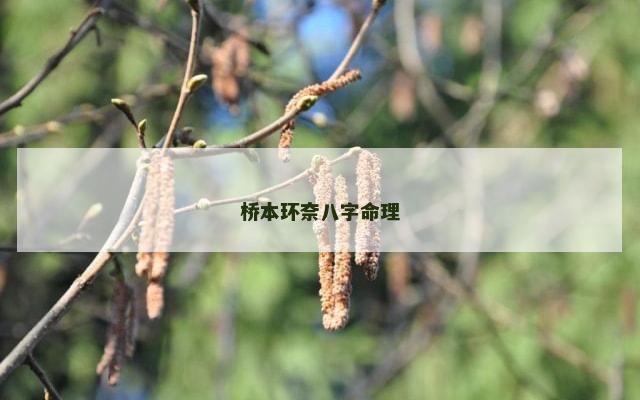 桥本环奈八字命理