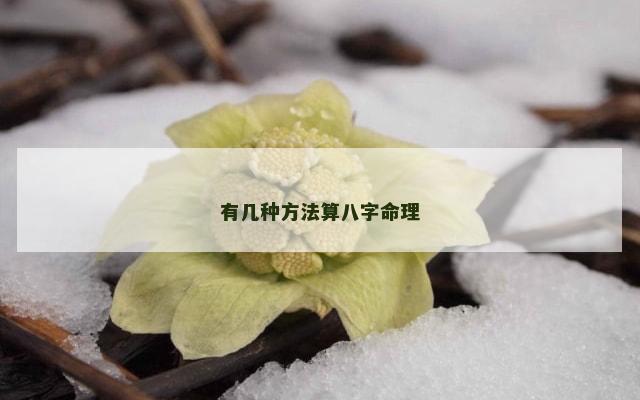 有几种方法算八字命理