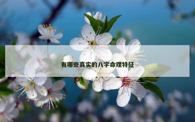 有哪些真实的八字命理特征