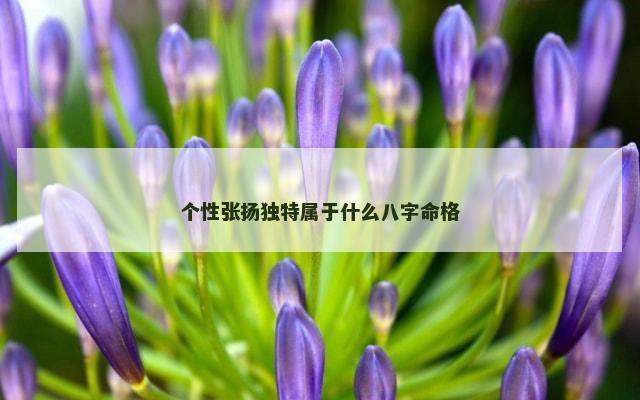 个性张扬独特属于什么八字命格