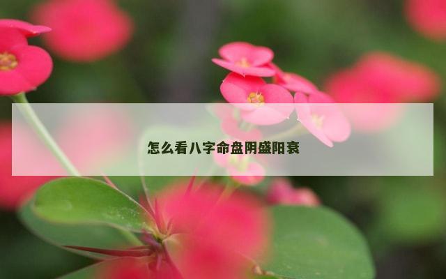 怎么看八字命盘阴盛阳衰