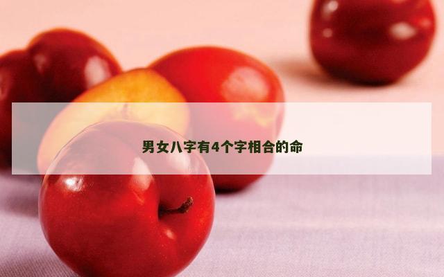 男女八字有4个字相合的命