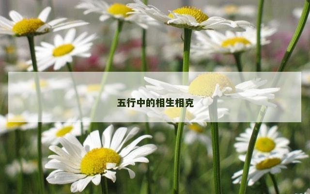 五行中的相生相克