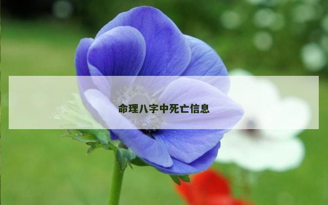 命理八字中死亡信息