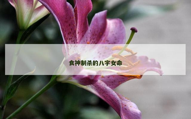 食神制杀的八字女命